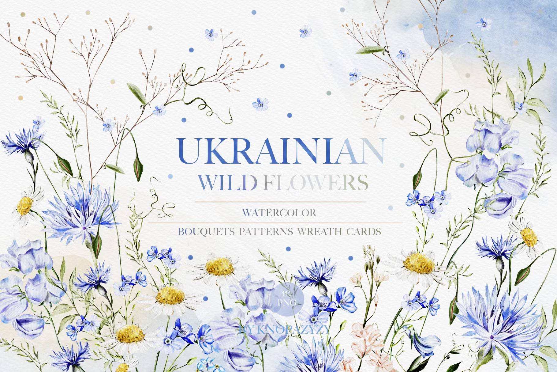 5593 乌克兰野花主题的水彩插画素材