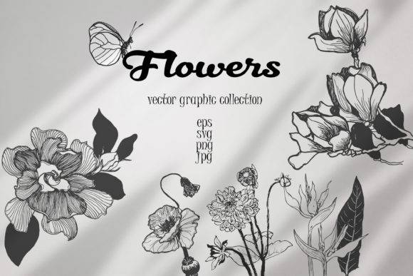 5596 创意黑白手绘花卉植物矢量插画素材