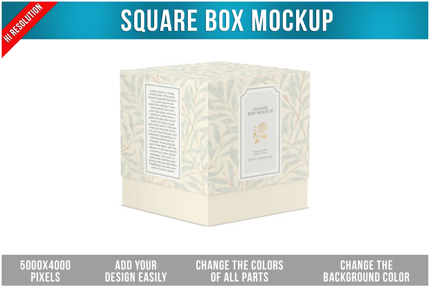 6203 高级智能方形盒子模型样机-Square Box Mockup